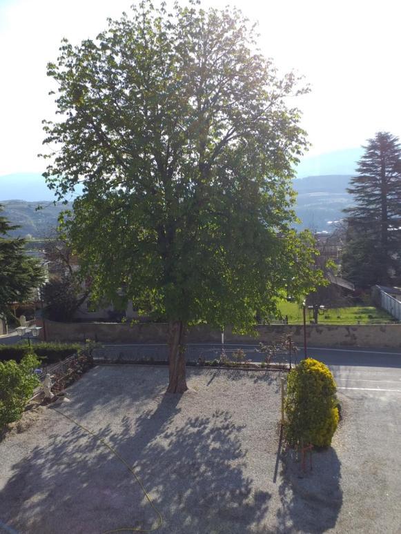 Hotel Villa Mayr Rooms & Suites Brixen Exteriör bild